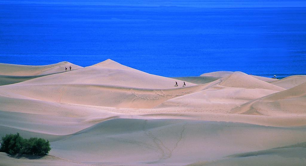 Oasis Playa Maspalomas Maspalomas  Zewnętrze zdjęcie
